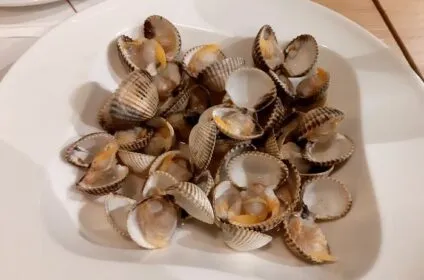 Almejas